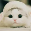humayra_saleem
