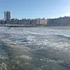 brandongonzales416