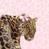 s__my__x14