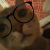 tvgirlenthusiasstt