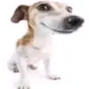 hisokaleftbutcheckk