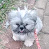 theo._03