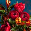 aishaabbasi568