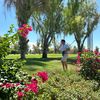 fairwaykev