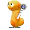 zig.woong