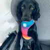 didi_cocker