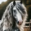 marietta_de_black21