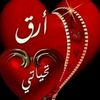 user79667827830907