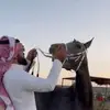 sultann_sss