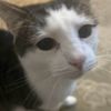 kevin_likes_em11.emp