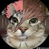 thatone_wanttobe_editer