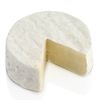 veryoldcheese