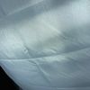 lino_0.0