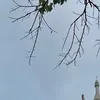 _anhlatrumfifai