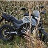 alpha_rs.1