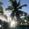 eumariaallves