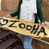 zuha.zohair