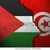 tounsi_84