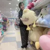 hongcam2893