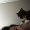 mamaaamiaa_05