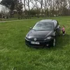 kazzarredba0
