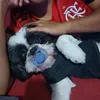 luislima987