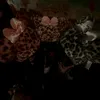 みんみ