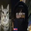 nuliiiq