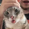 kilviac