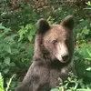 bebe.tiktok5