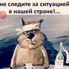 user8430501866565