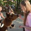 sonya_2009_10