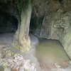 bigladbri123