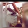 nouraalmutairi11