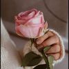 lawlyy283043136