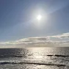 marti09877