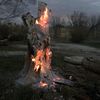 stealth_healer