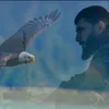 abusaif409