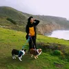 iris_11111