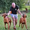 a.life.as.a.dog