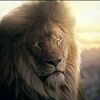 masculinidad007