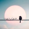useruiz2sedjx5