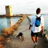 michelegrossi_dida