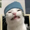 beaniebeanbeans