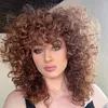adina.fichios