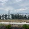 forthehopeofifall008910