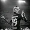 pavone.crf