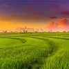 nguyendung2281996