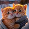 alem123me