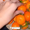 cantik_jf